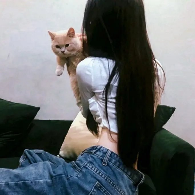 月光书房 在线观看